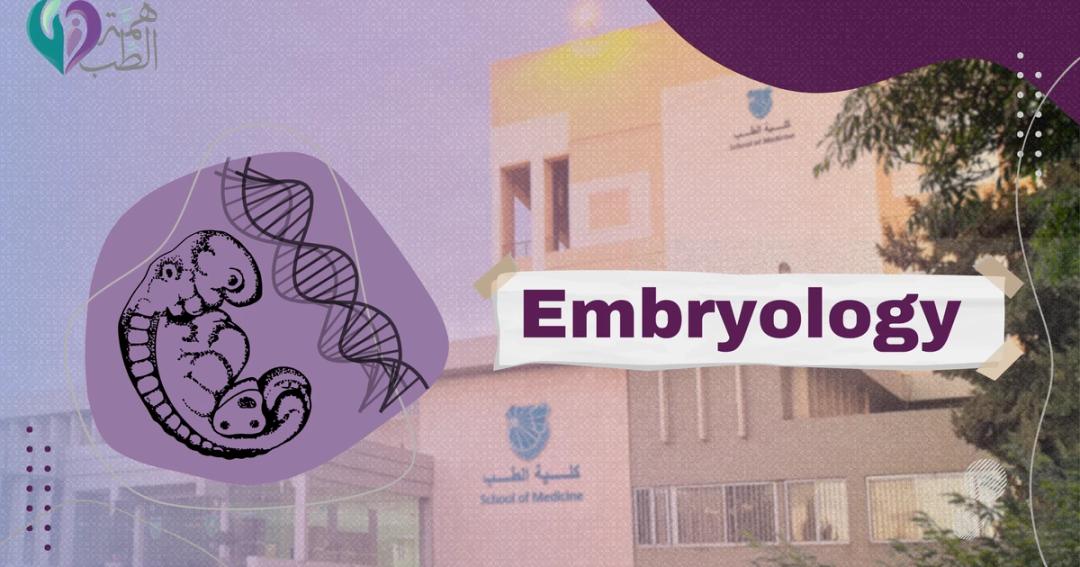 Embryology thumbnail